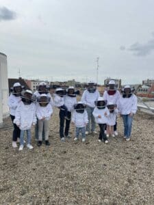 ruches hospimedia groupe